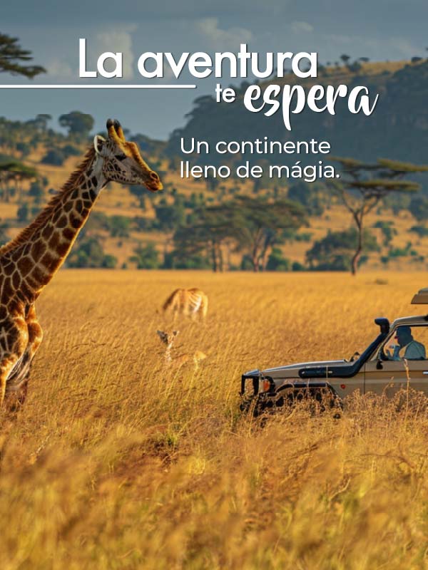 africa-mobile